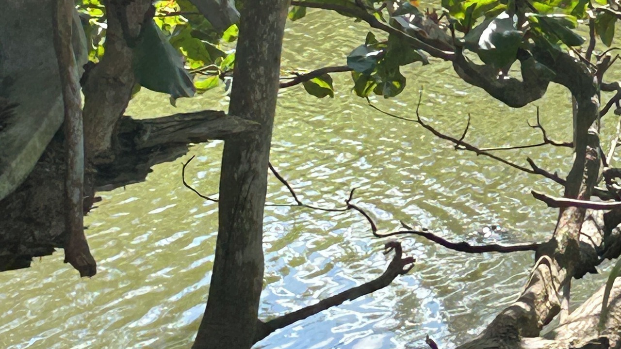 Photo of Others in Arecibo Pueblo