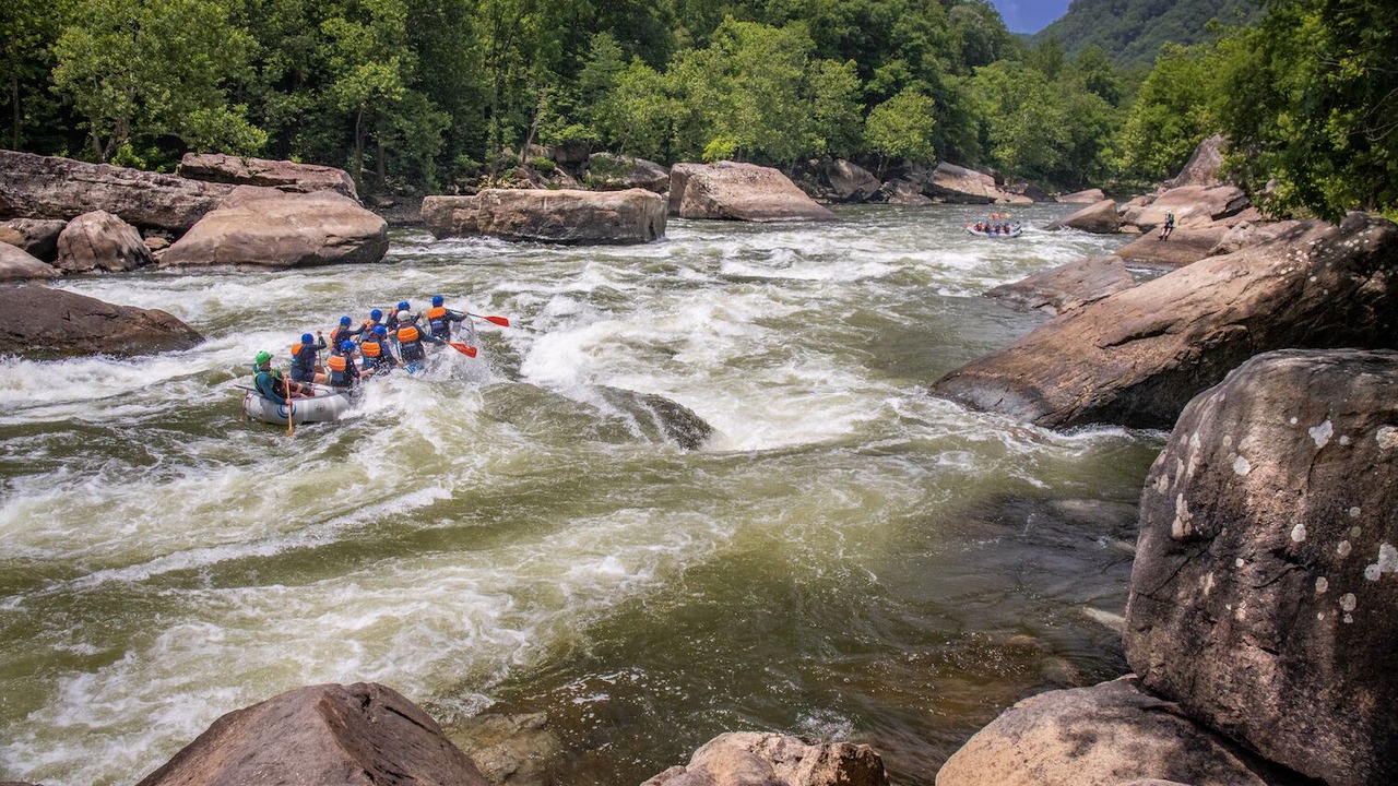 Photo of Others in Fayetteville