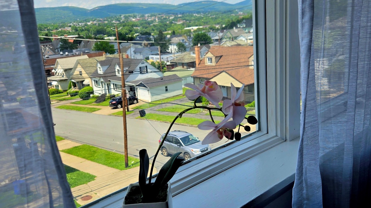 Photo of Others in Scranton