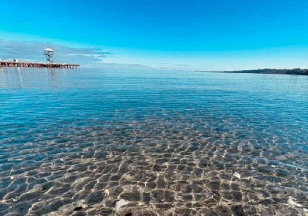 Photo of Others in Port Angeles East