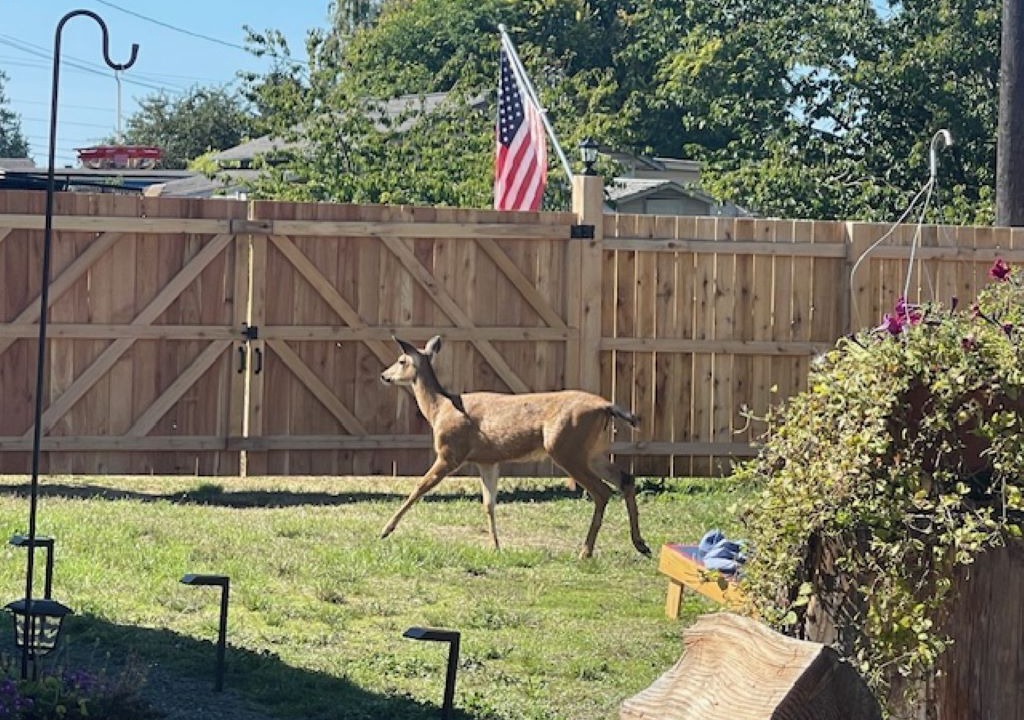 Photo of Others in Port Angeles East