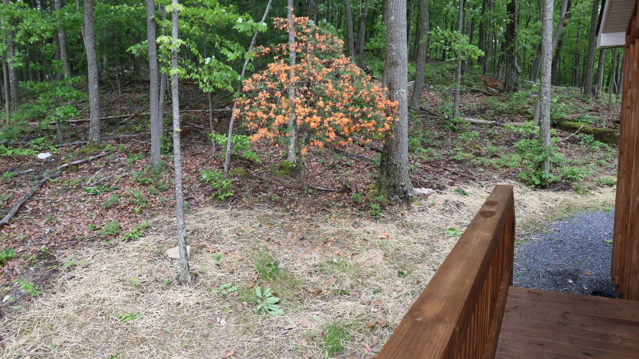 Photo of Others in Cool Ridge