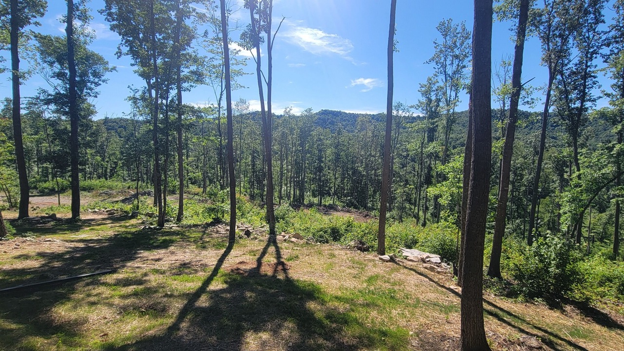 Photo of Others in Cool Ridge