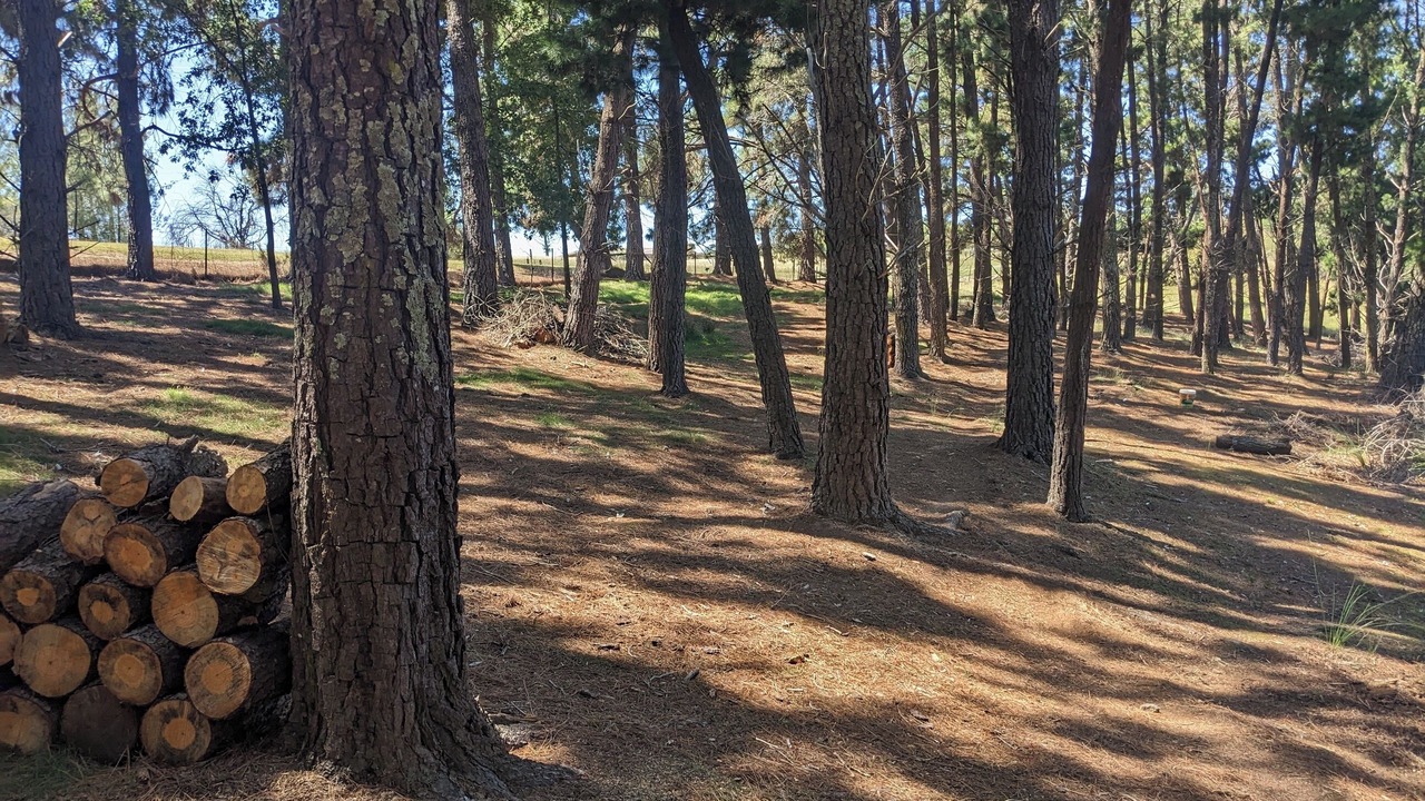 Photo of Outdoor in Yass