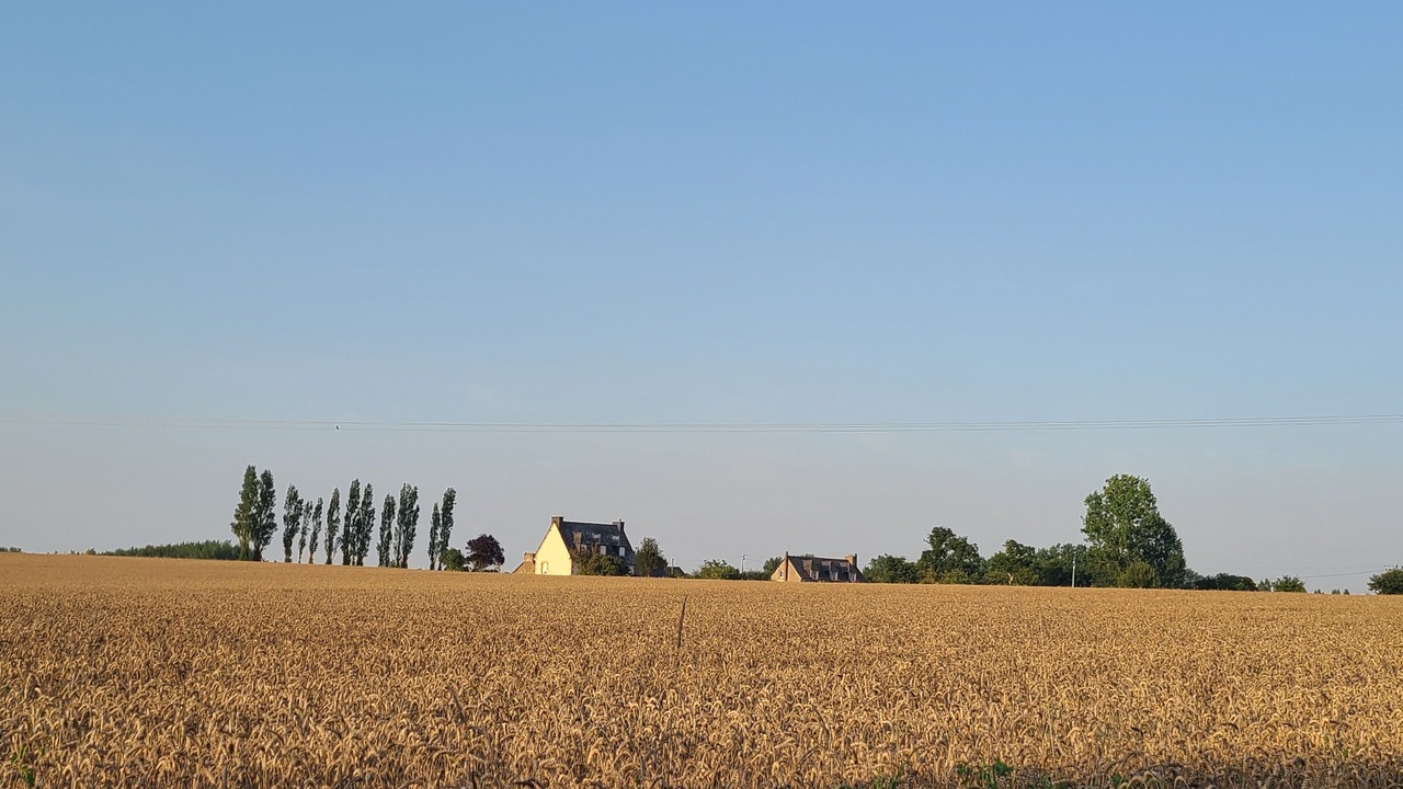 Photo of Others in Pluduno