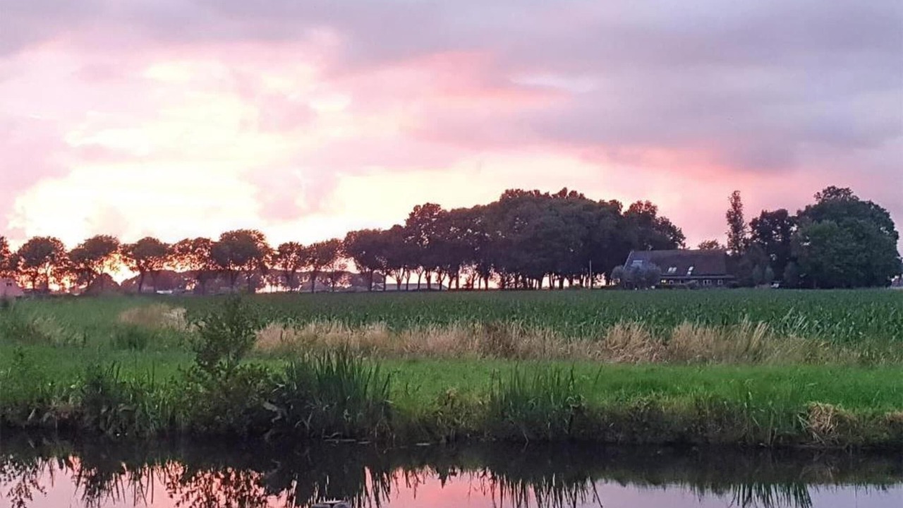 Photo of Others in Delfstrahuizen