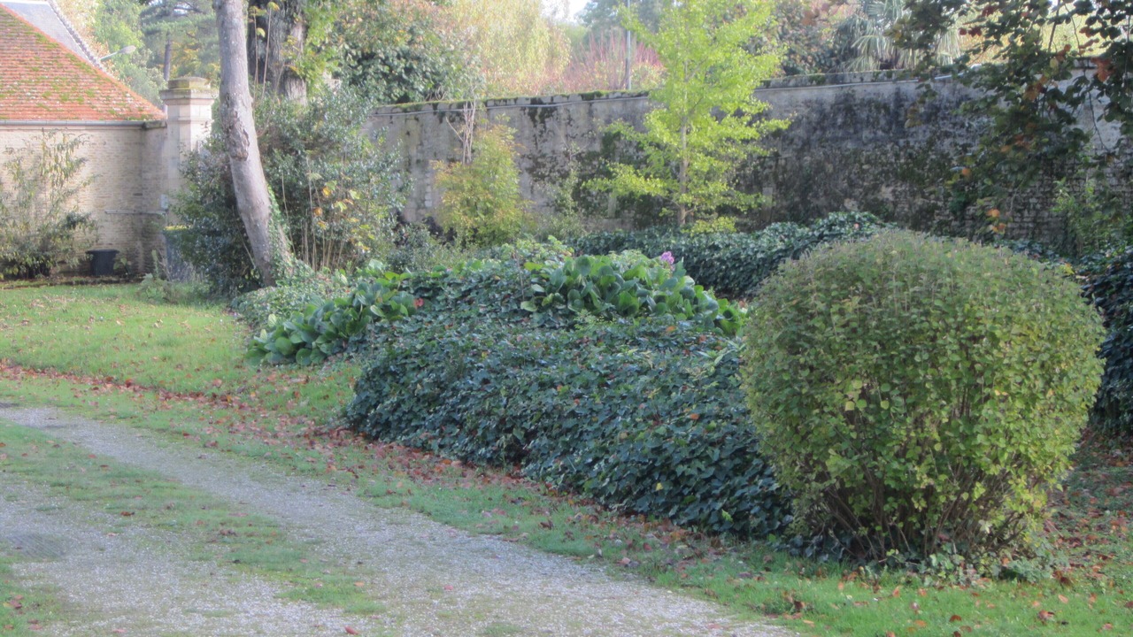 Photo of Outdoor in Villons-les-Buissons