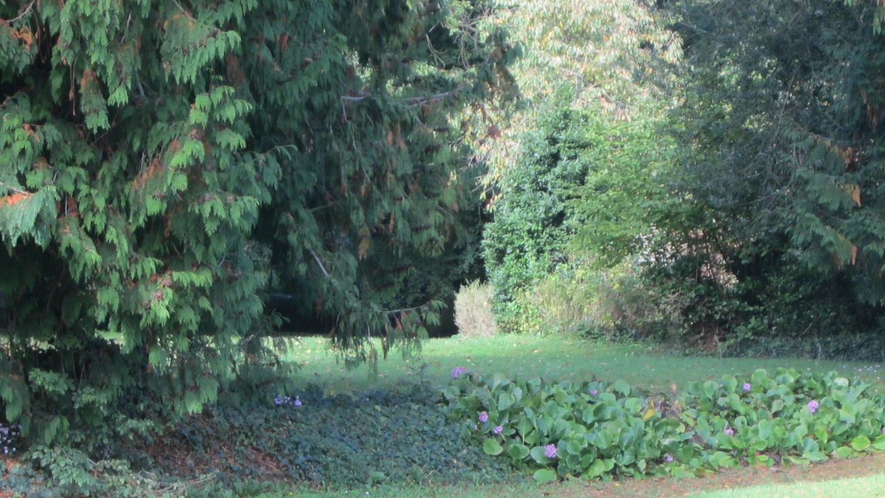 Photo of Outdoor in Villons-les-Buissons