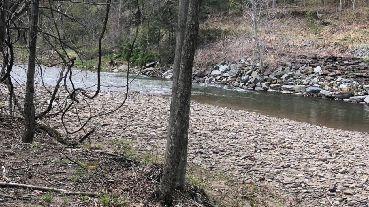 Photo of Others in Mehoopany