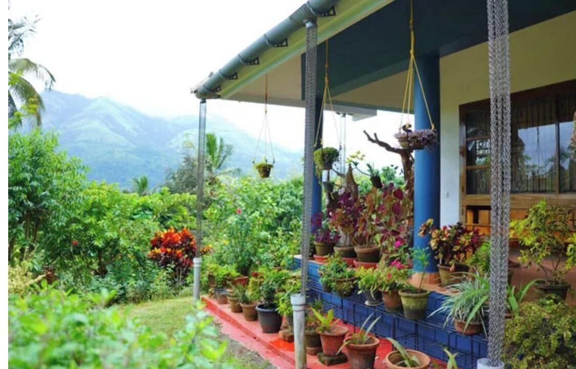 Photo of Outdoor in Vayittiri