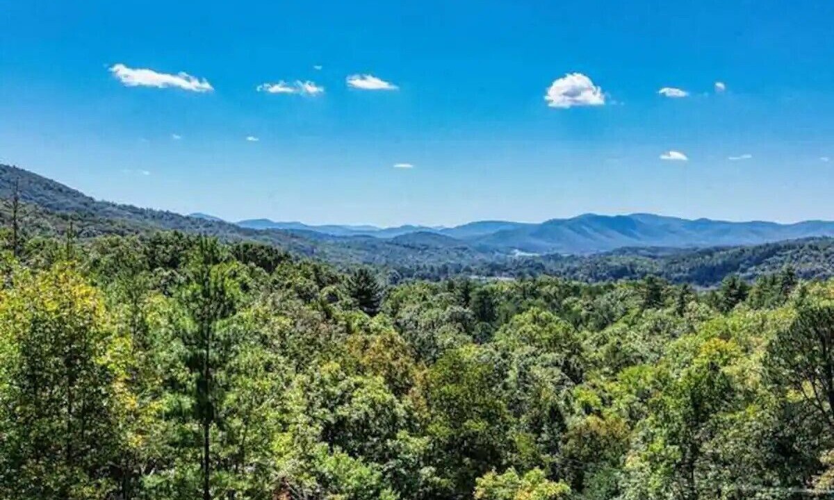 Photo of Others in Upper Peachtree