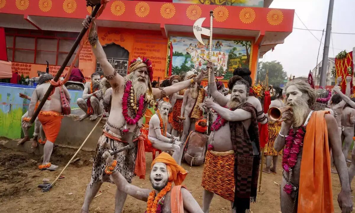 Photo of Others in Jhusi