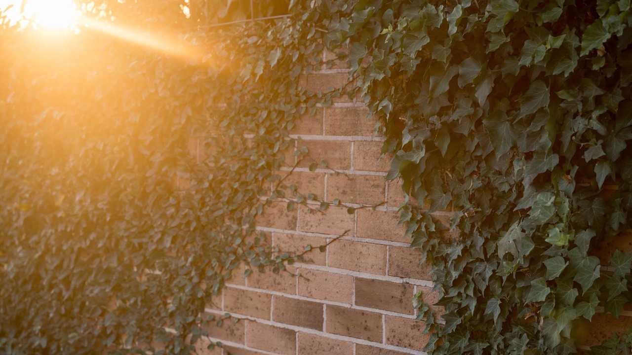 Photo of Outdoor in South Tamworth