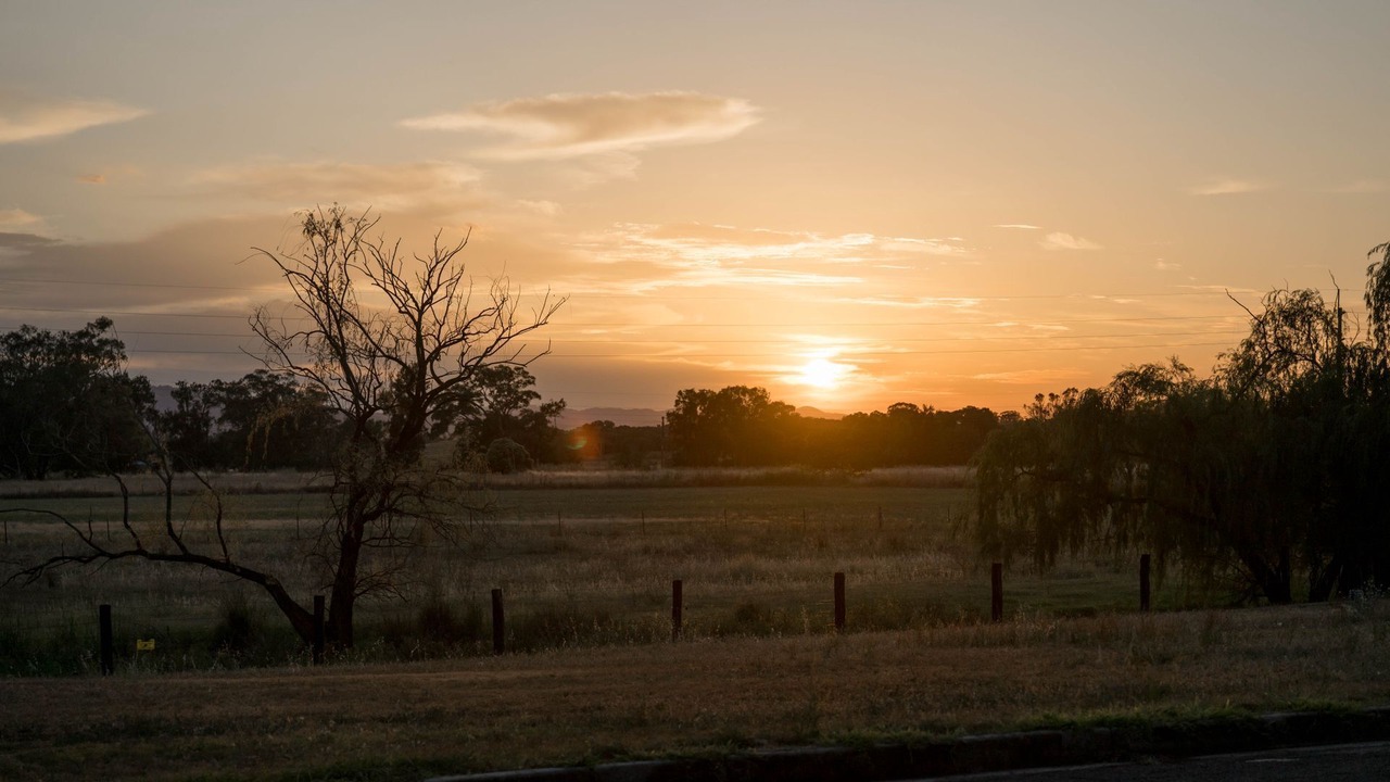 Photo of Others in South Tamworth