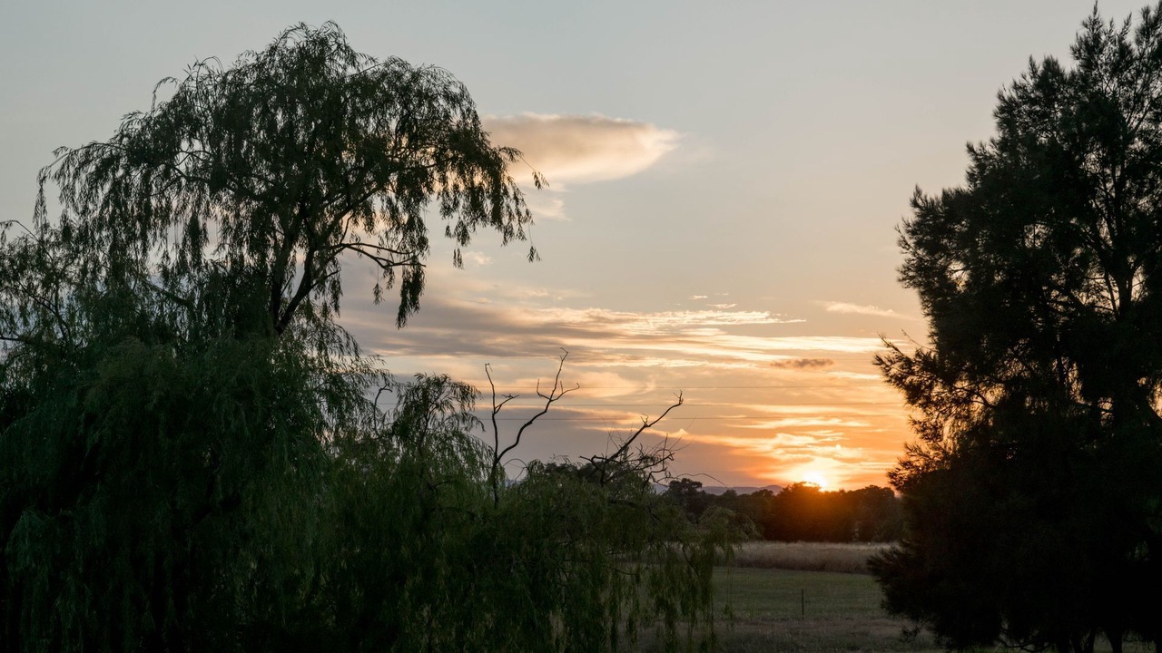 Photo of Others in South Tamworth