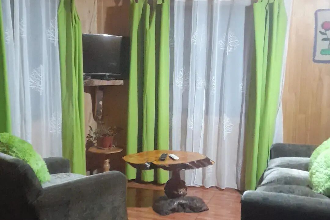 Photo of Livingroom in Choshuenco