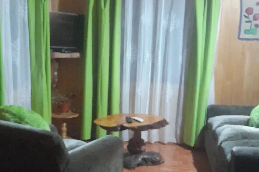 Photo of Livingroom in Choshuenco