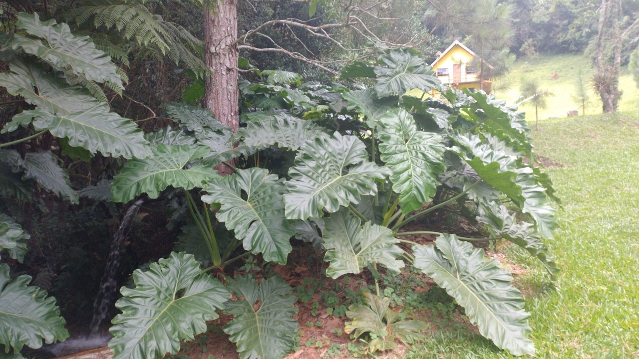 Photo of Outdoor in Costas