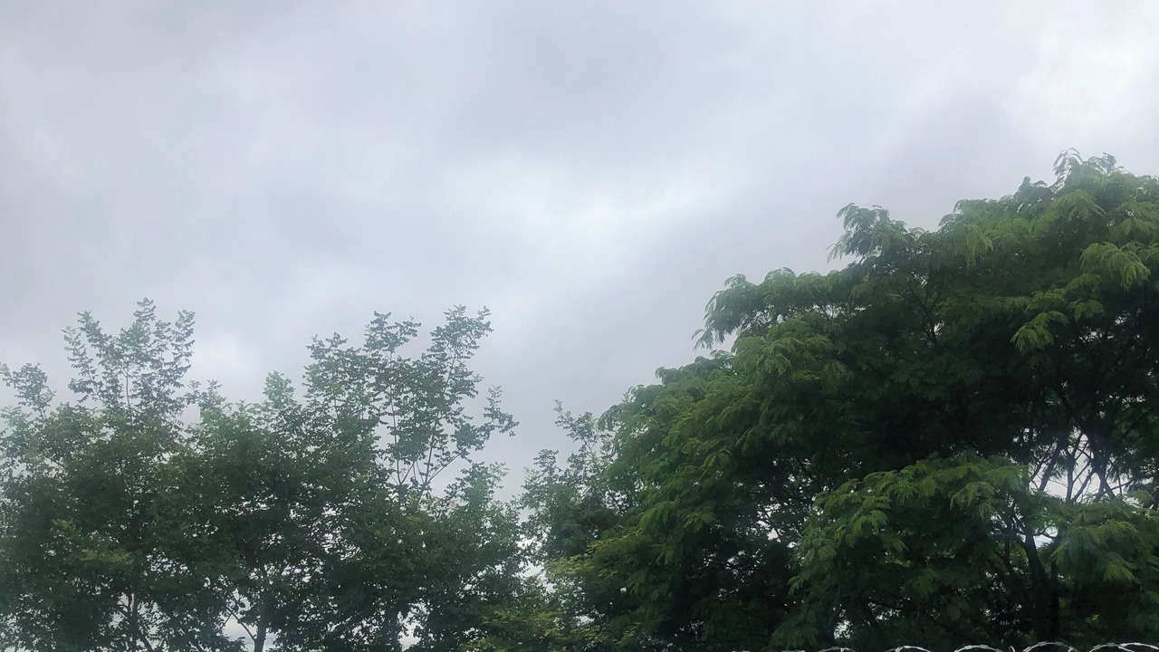 Photo of Outdoor in Aruana Park