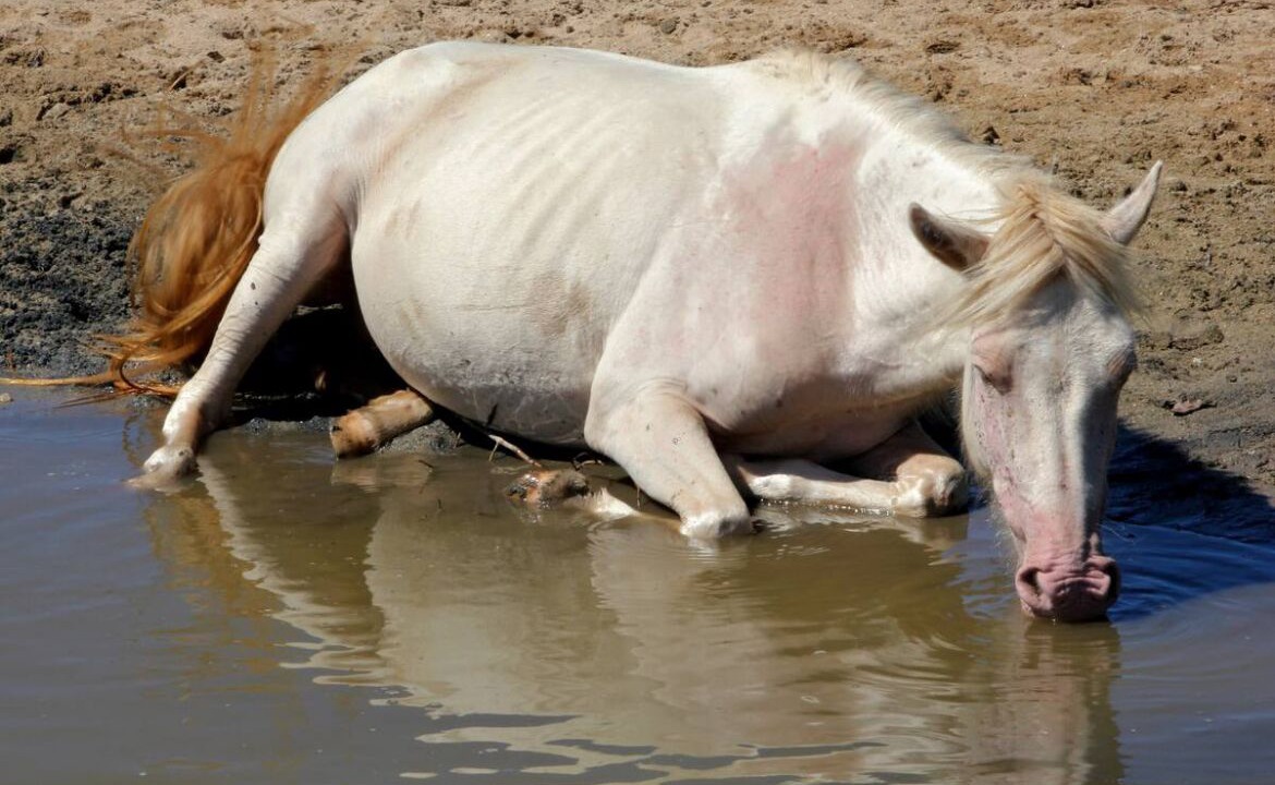 Photo of Others in Esperanza