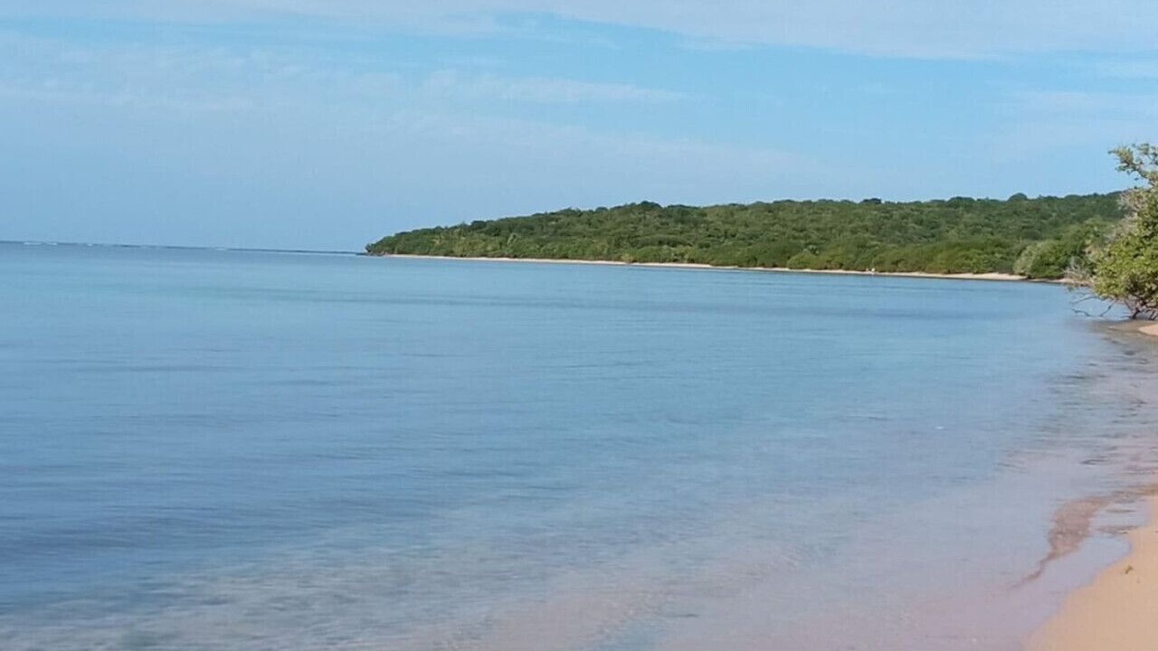 Photo of Others in Sardinera