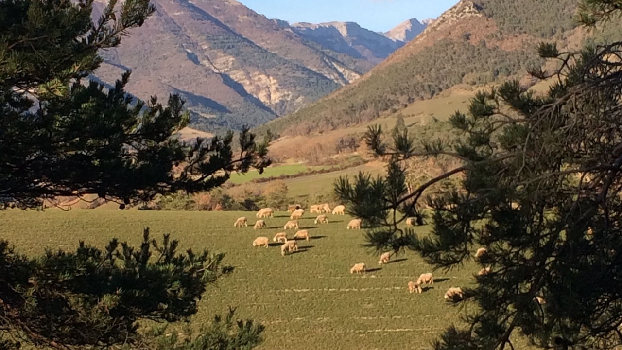 Photo of Others in Vacheres-en-Quint