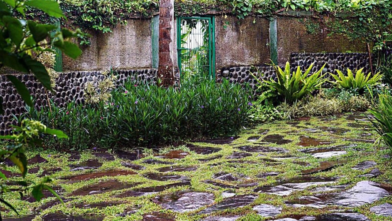 Photo of Outdoor in Cipanas