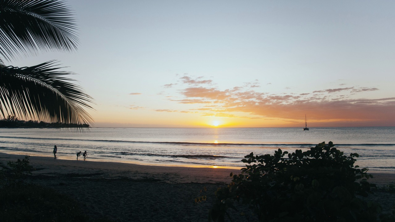 Photo of Others in Tamarin