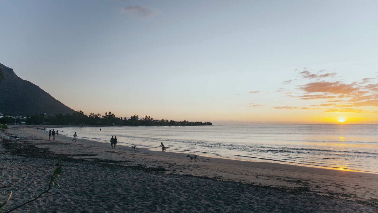 Photo of Others in Tamarin