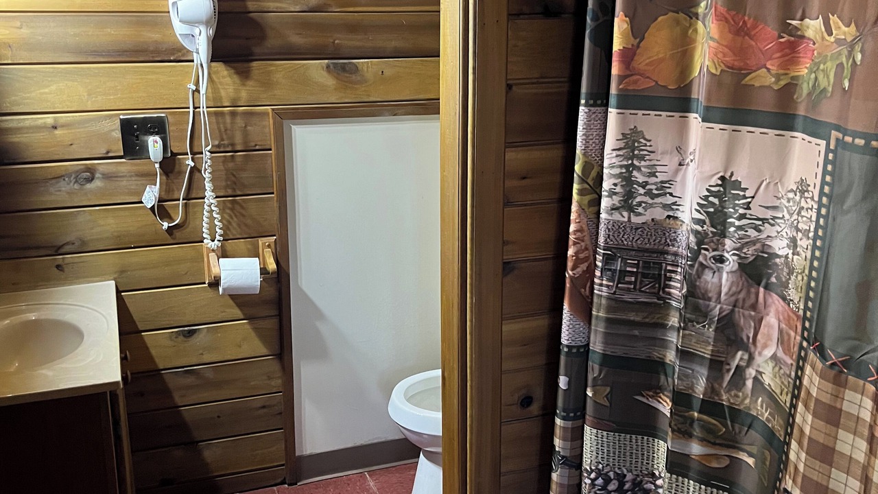 Photo of Bathroom in Lansing