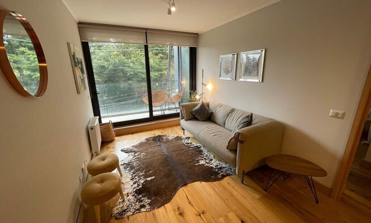 Photo of Livingroom in Puerto Varas