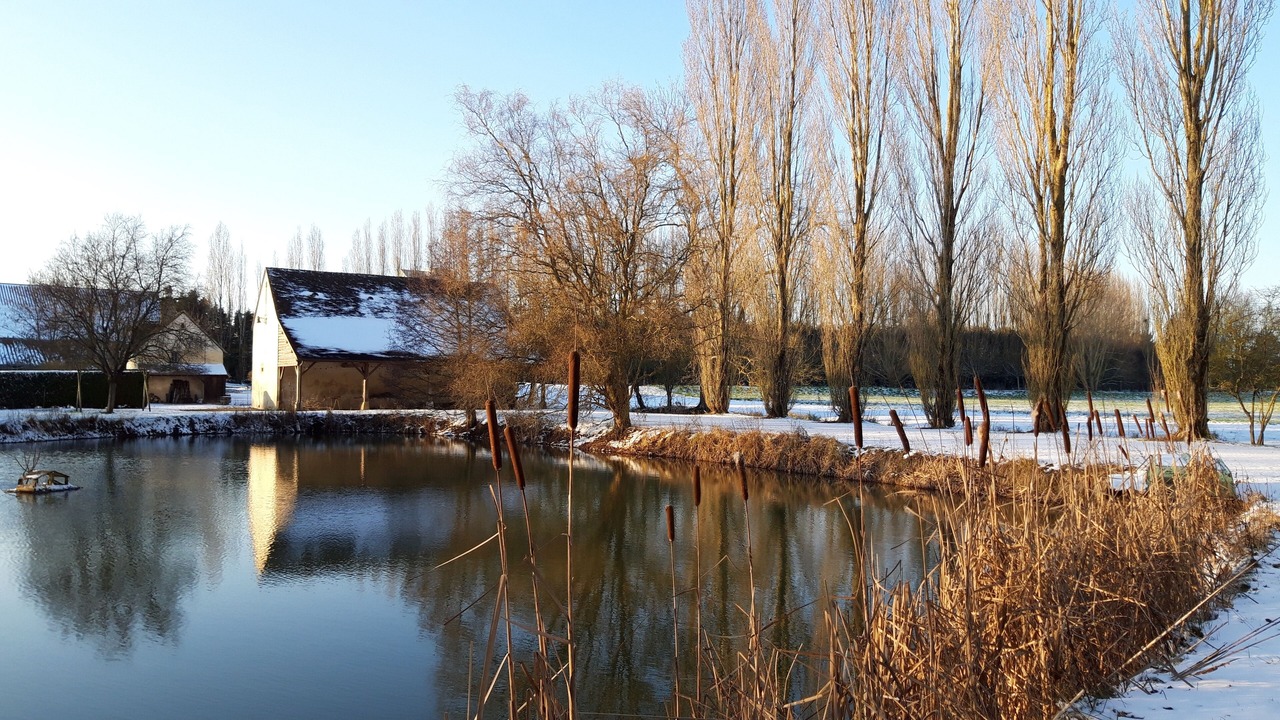 Photo of Others in Monce-en-Saosnois