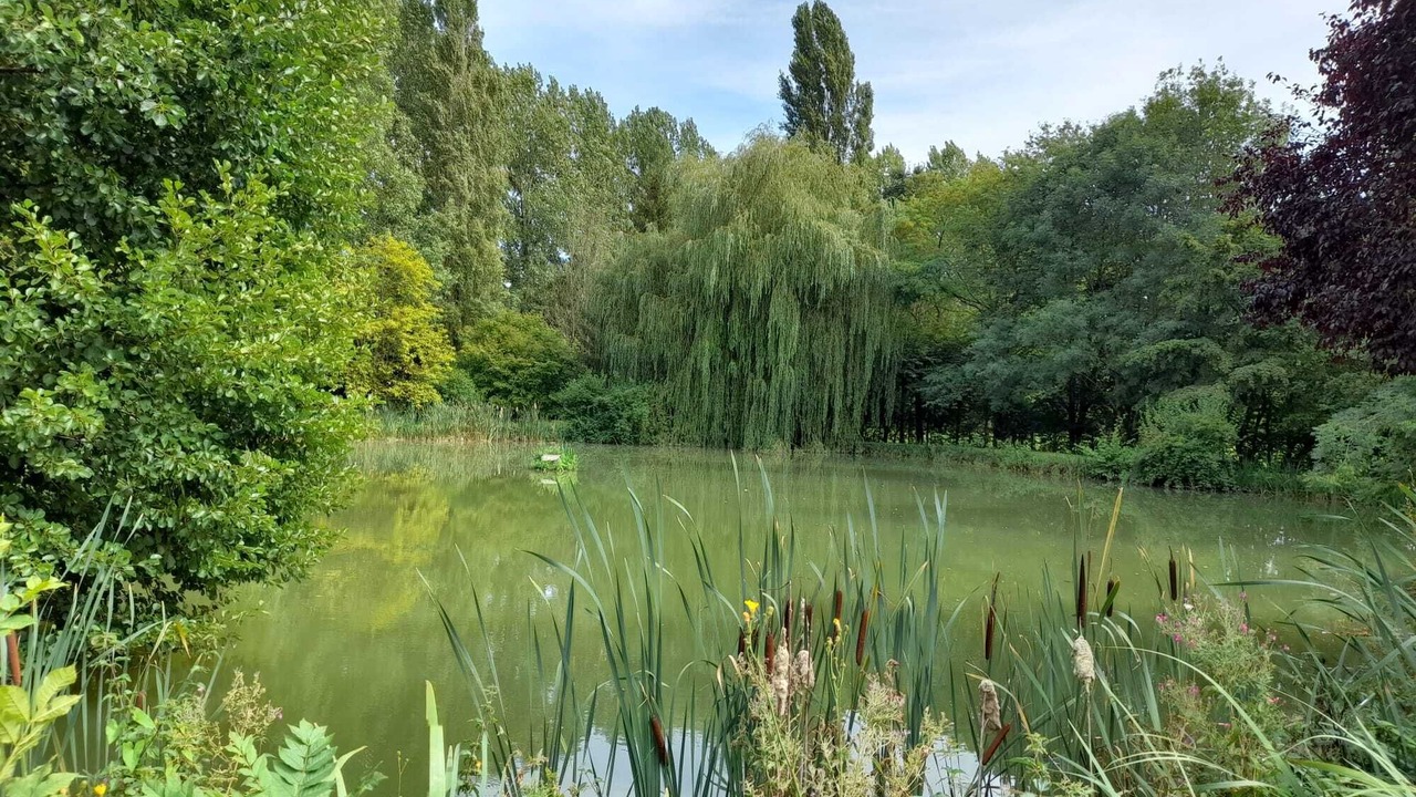 Photo of Others in Monce-en-Saosnois