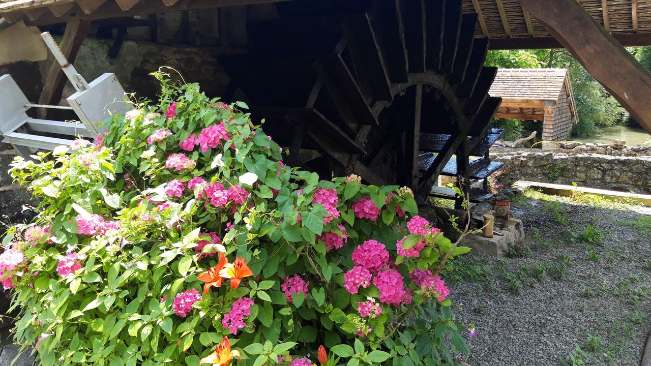 Photo of Outdoor in Monce-en-Saosnois