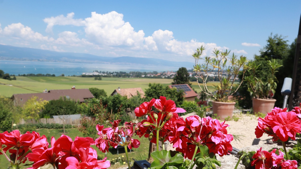 Photo of Outdoor in Chatillon
