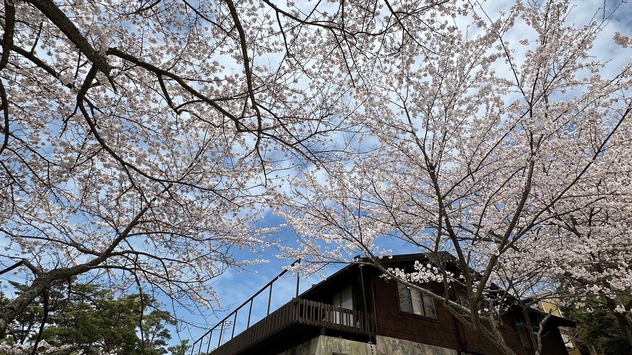 Photo of Outdoor in Shodoshima