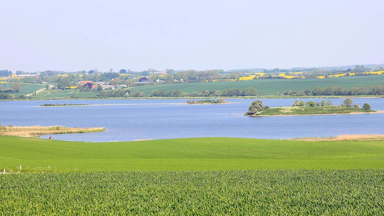 Photo of Others in Diernæs