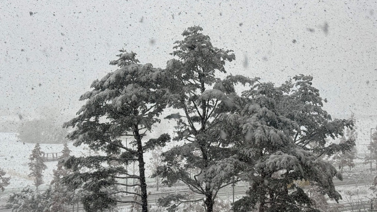 Photo of Others in Yeonsu-gu