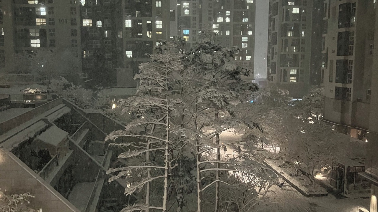 Photo of Others in Yeonsu-gu