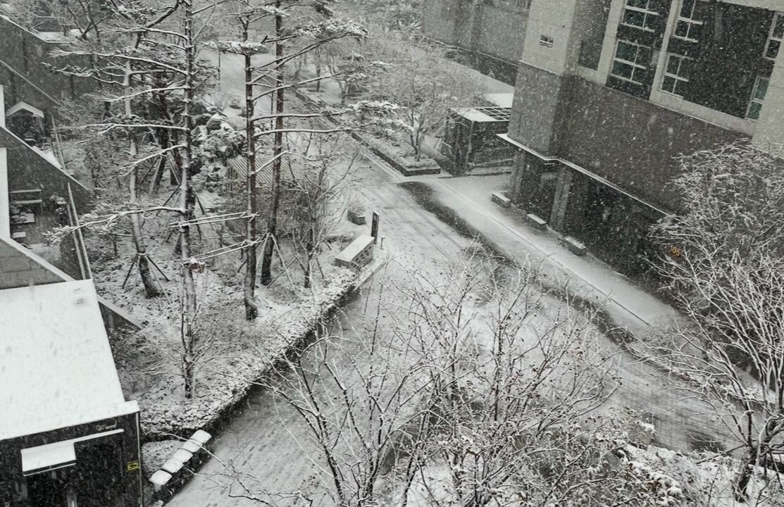 Photo of Outdoor in Yeonsu-gu