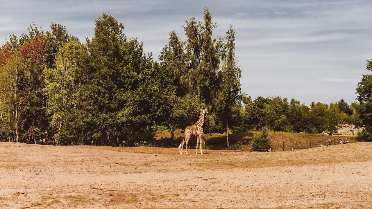 Photo of Others in Municipality of Someren