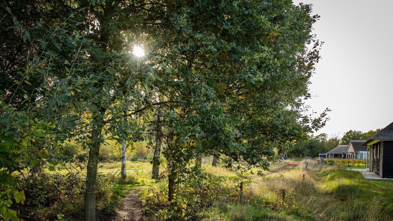 Photo of Others in Municipality of Someren