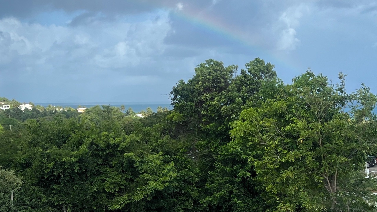 Photo of Others in Villa Borinquen