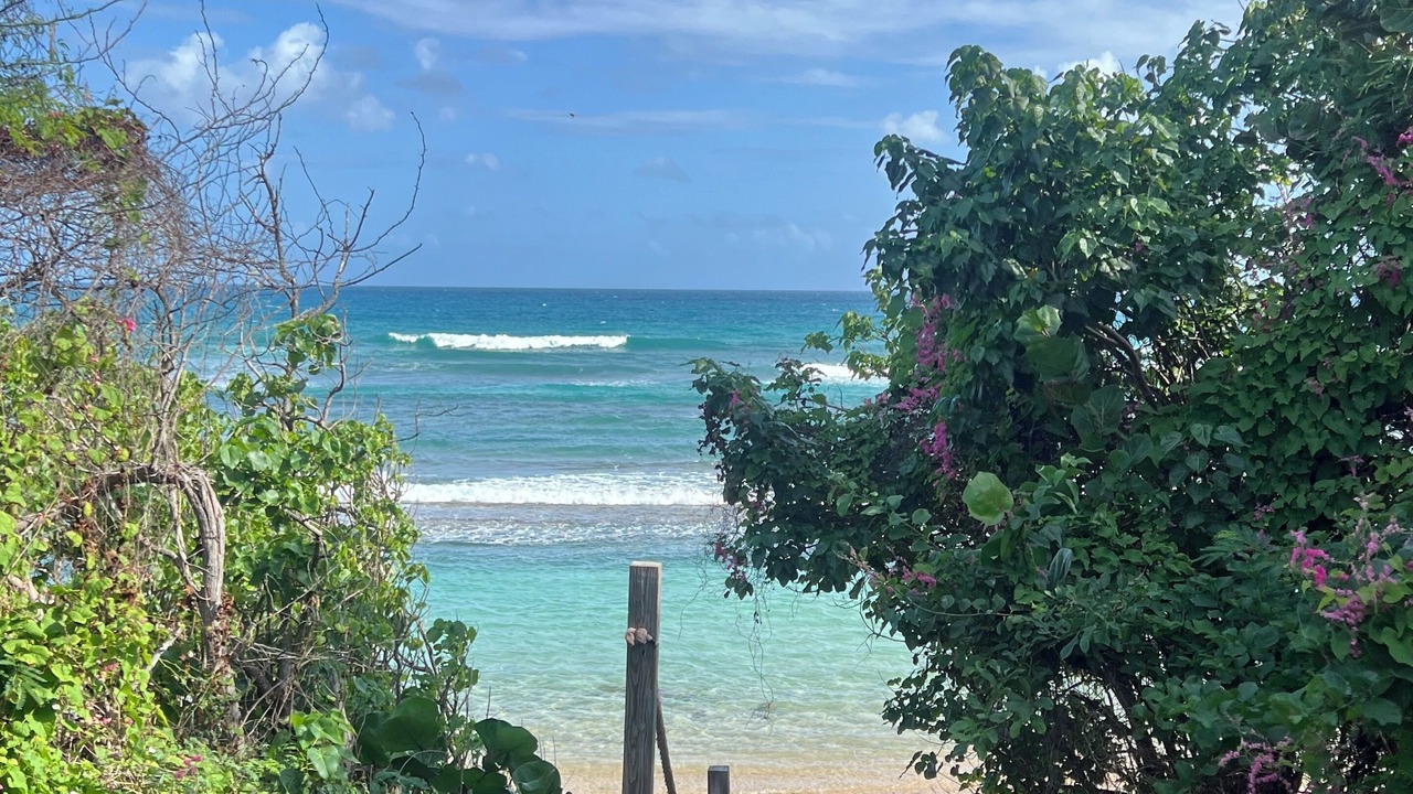 Photo of Others in Villa Borinquen