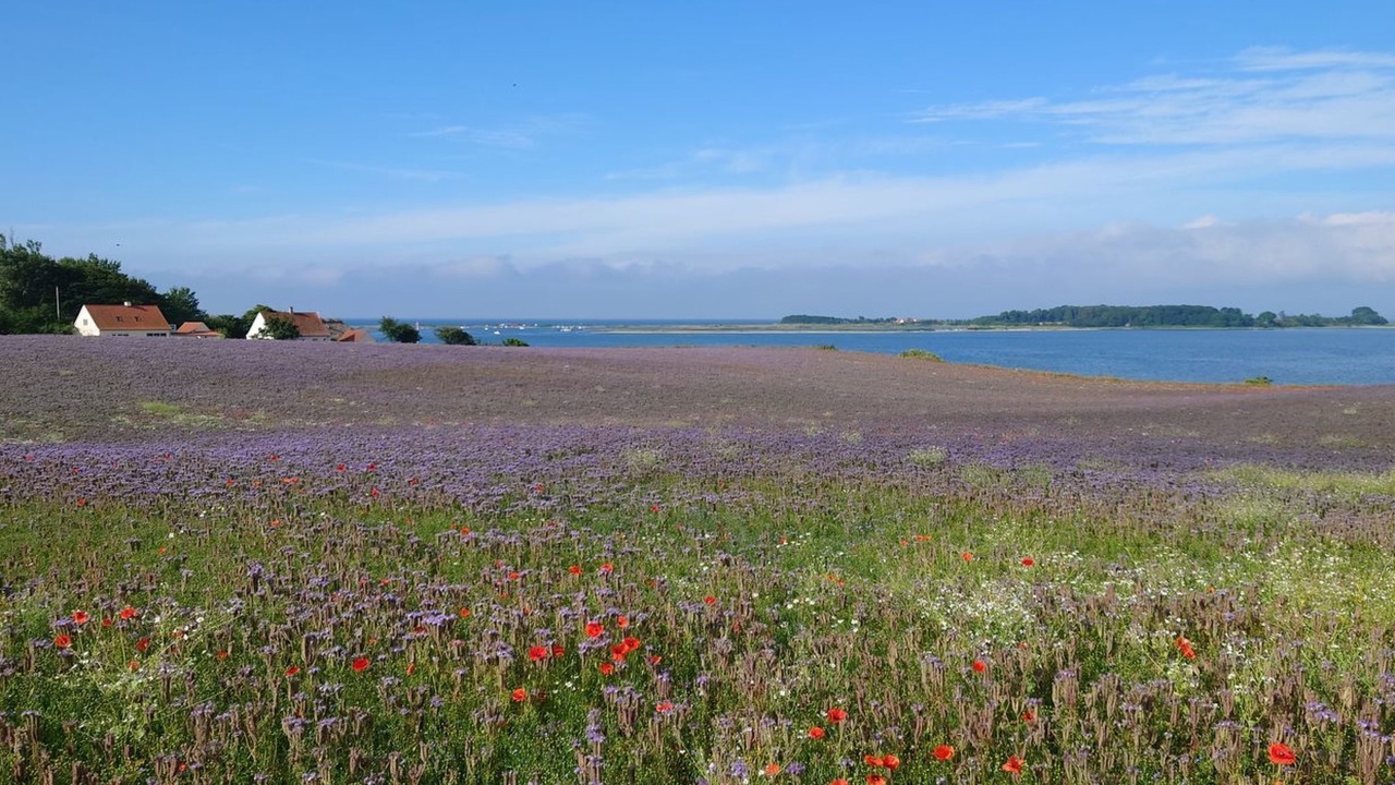Photo of Outdoor in Assens