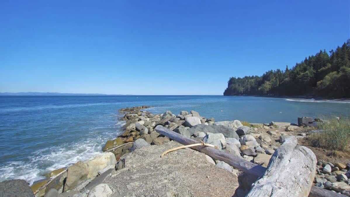 Photo of Others in Port Angeles