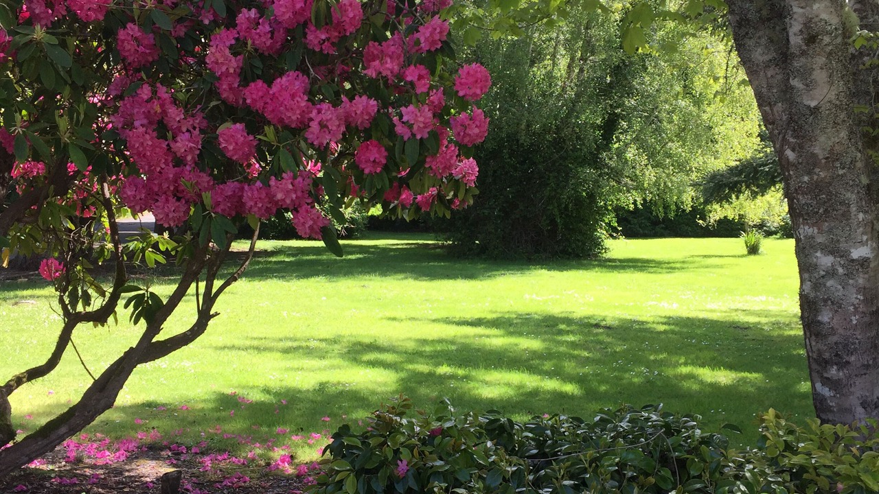 Photo of Outdoor in Crescent City