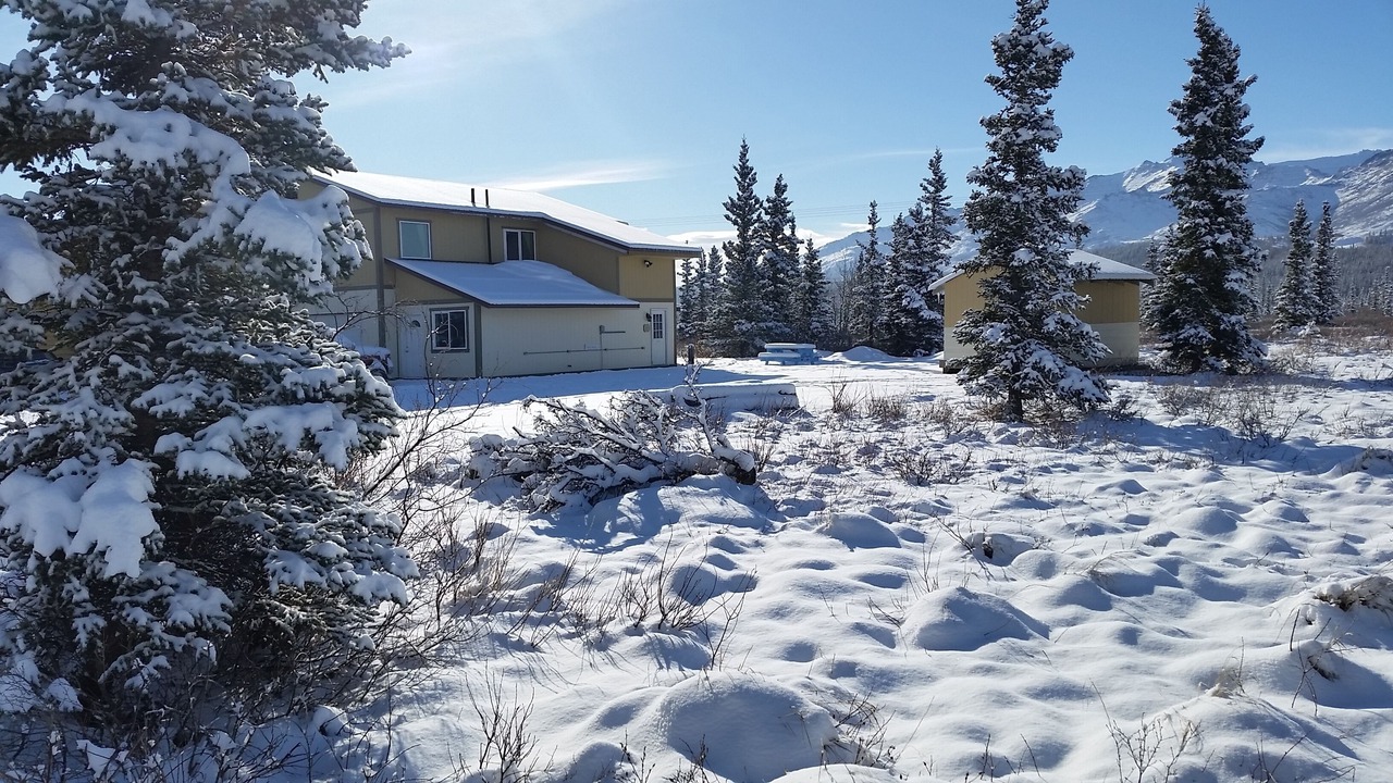 Photo of Outdoor in Healy
