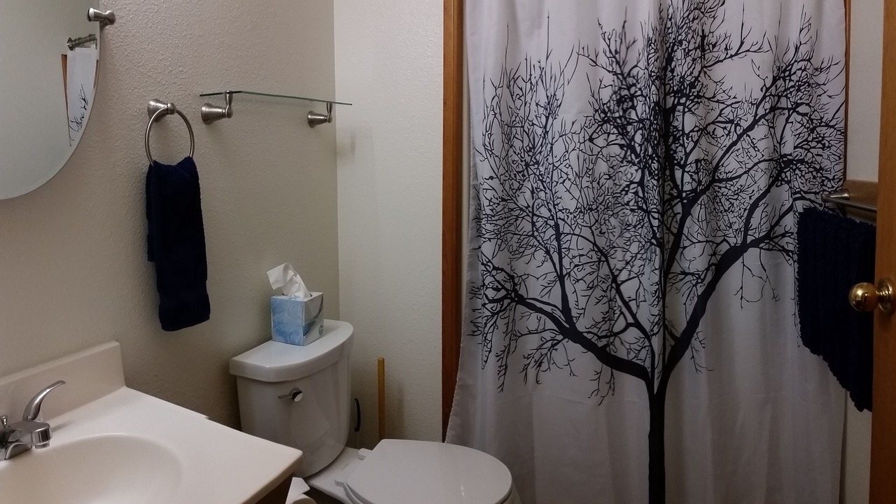 Photo of Bathroom in Healy