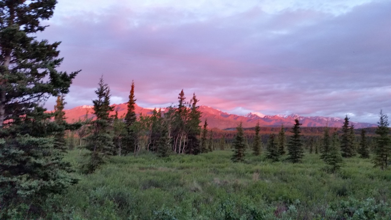 Photo of Outdoor in Healy